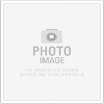財神娛樂城活動推薦2026｜限時好禮等你拿